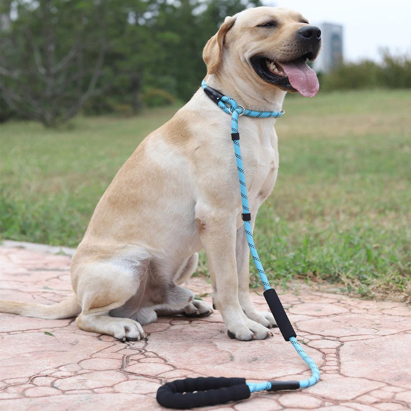 Guia de nylon reflexiva para cães