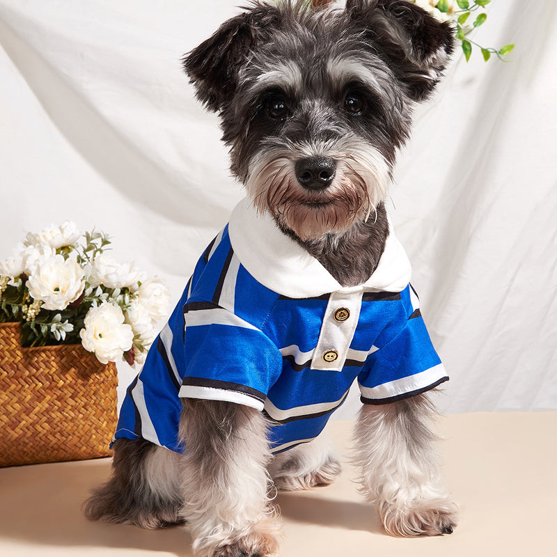 Camisa POLO para animais de estimação listrada em azul e branco